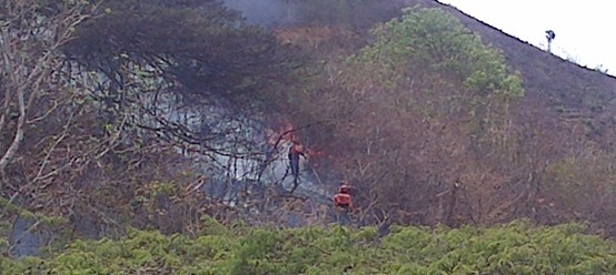 Foto Globovisión