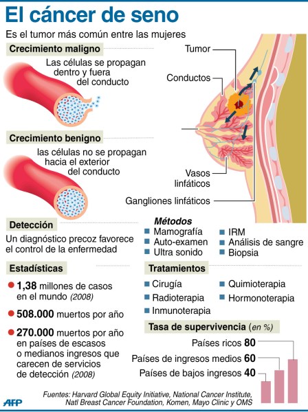 cancermamainfografiaAFP