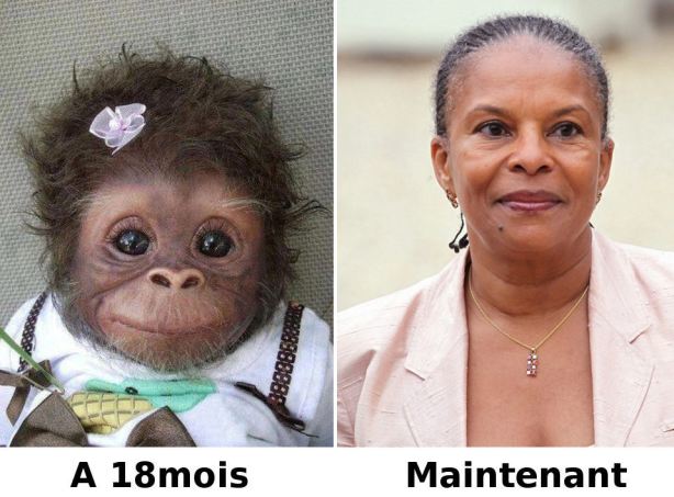 taubira-guenon-fn-sista-diaspora