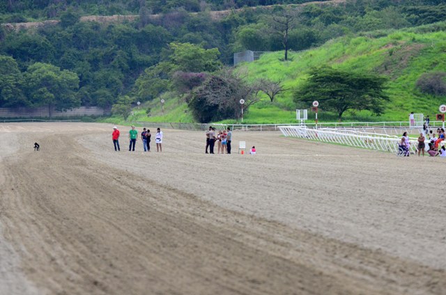 Hipódromo La Rinconada