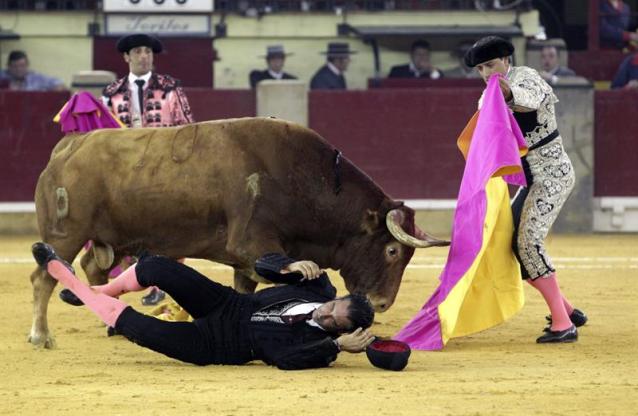 Manuel Carbonell, sobresaliente del diestro Daniel Luque, es cogido en la faena al toro de Alcurrucén en la quinta corrida de Feria del Pilar celebrada en el coso de La Misericordia, y en la que ha lidiado en solitario seis reses de diferentes ganaderias. EFE/Javier Cebollada