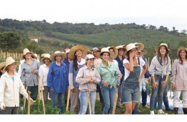 Foto: Noiva Do Cordeiro - Solo mujeres