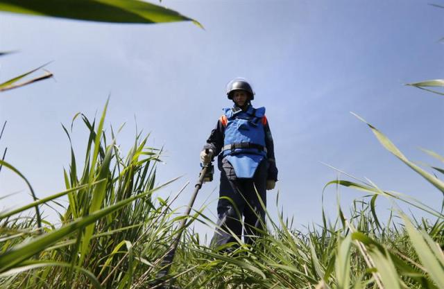 Un artificiero del Ministerio de Emergencias ruso revisa un campo en busca de bombas de la II Guerra Mundial descubiertos en un campo próximo a la localidad de Kuzoblevo, en la región moscovita (Rusia) hoy, martes 26 de mayo de 2015. Desde principios de mayo, se han descubierto más de 200 artefactos explosivos en la región de Moscú. EFE/Yuri Kochetkov