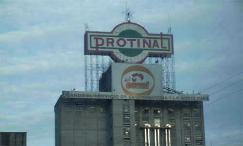 protinal