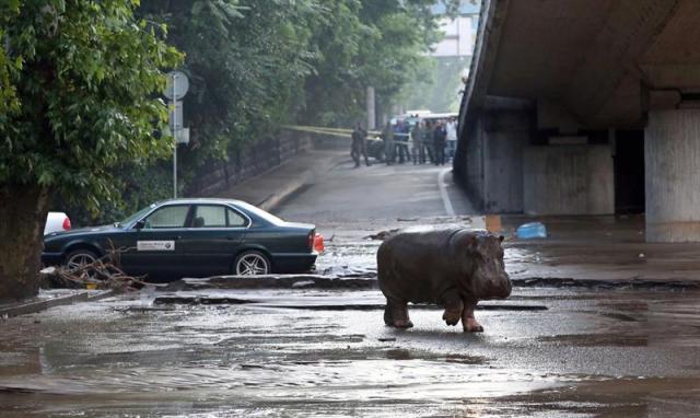 Inundacion Georgia1