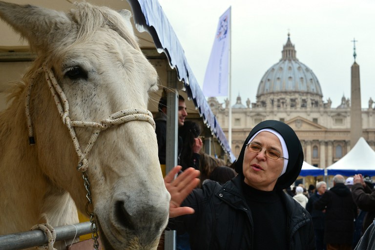 La plaza del Vaticano se convirtió en una granja al aire libre (Fotos)