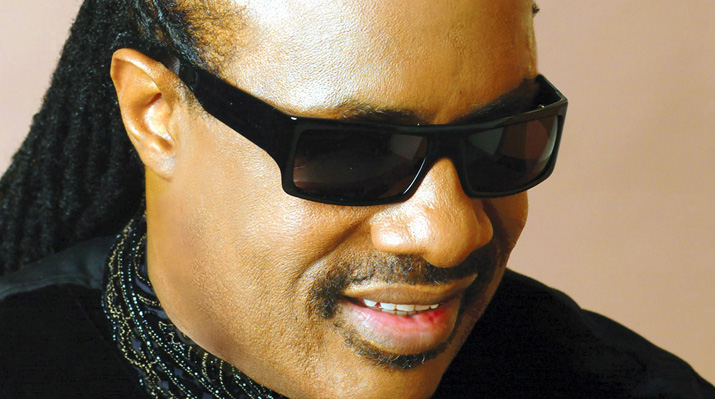 Stevie Wonder quiere que luthier español fabrique guitarras para ciegos