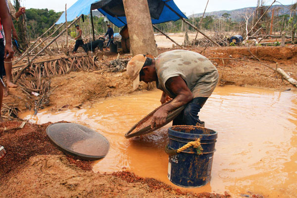 Pueblos indígenas denuncian irregularidades en el Caura