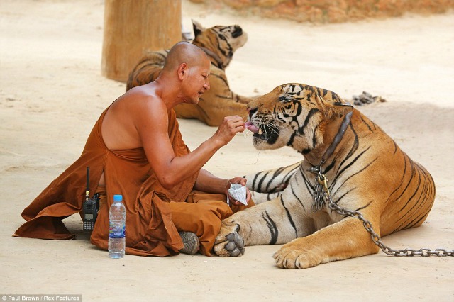 Increíble: Ellos son los verdaderos Pi y Richard Parker (Fotos)