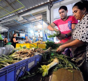 Falta inversión al área de legumbres en Conejeros
