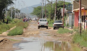 Confirman 24 casos de malaria en Anzoátegui