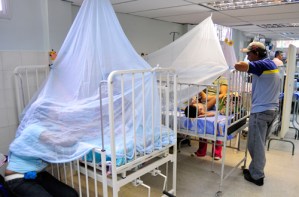 A 91 ascendió la cifra de contagios por dengue en Carabobo