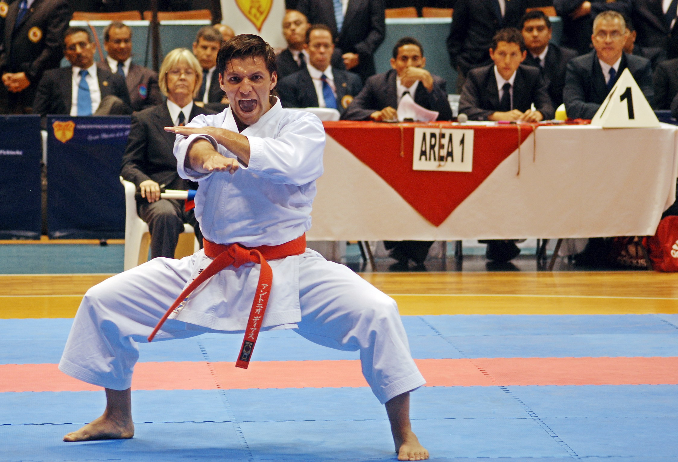 Antonio Díaz expondrá invicto en los World Combat Games