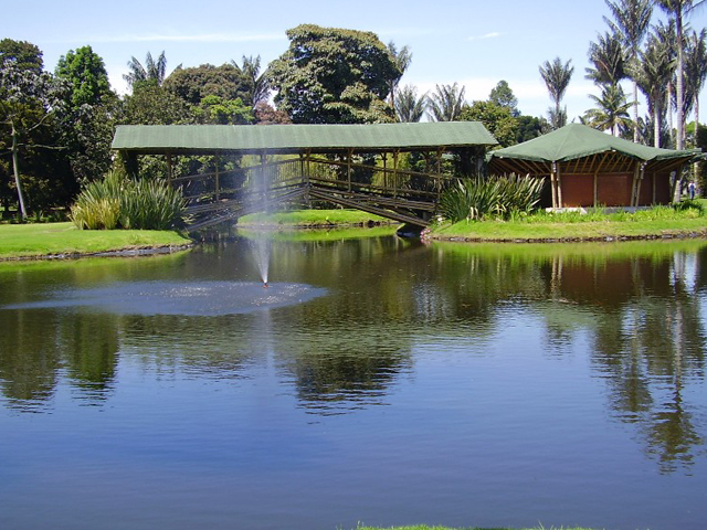 Jardín Botánico de Bogotá producirá su propia energía