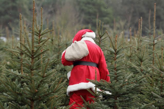 Microsoft y Google rastrearán la ruta de Papá Noel esta Navidad