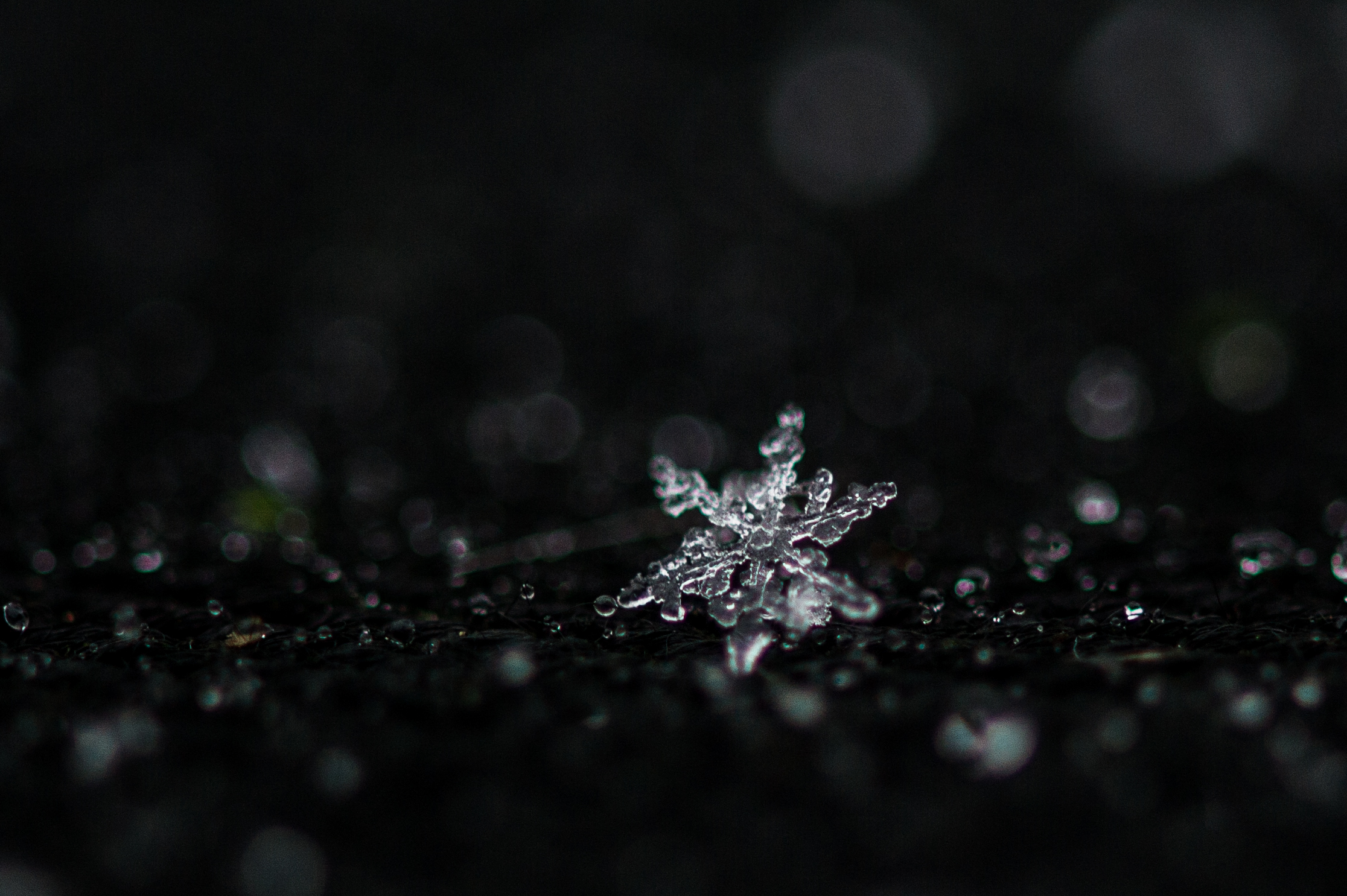 La impresionante belleza de un copo de nieve (Foto)