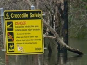 Un cocodrilo se lleva a un niño de 12 años en Australia