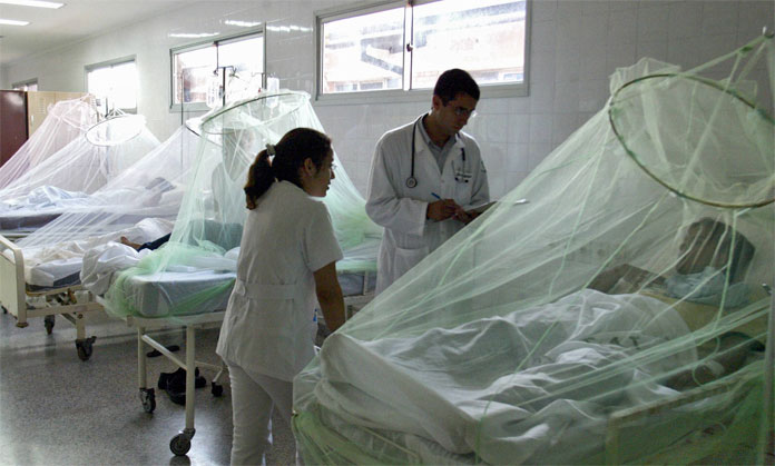 Se registran más de 100 casos de dengue en Lara