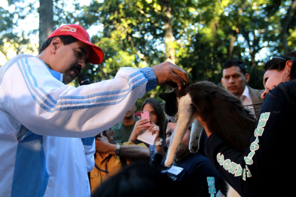 Maduro pidió fiscalizar precios de alimentos de mascotas