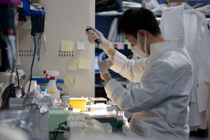 Científicos nipones se disculpan por anomalías en su estudio de células madre