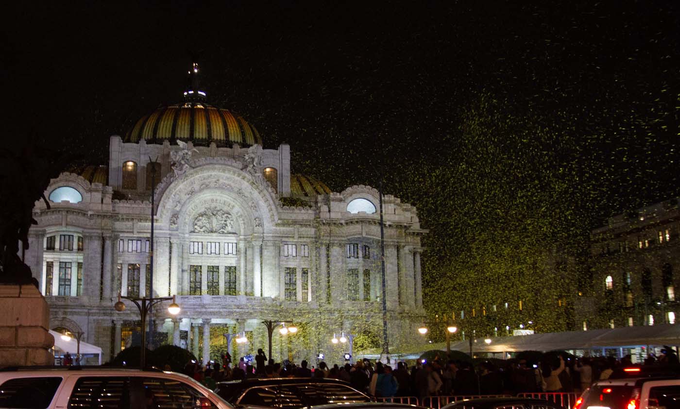 Adiós a Gabo con mariposas y flores (Fotos)