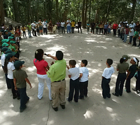 Reforestarán 115 hectáreas del Parque Nacional Henri Pittier