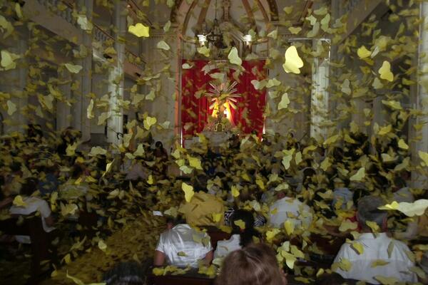 Mariposas amarillas tomaron vuelo en despedida de García Márquez (Fotos)