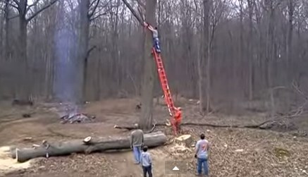 El quería cortar un árbol… pero el árbol no lo dejó (Video)