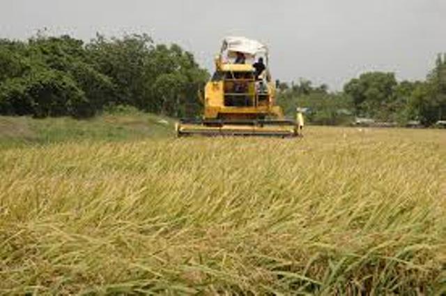 Brasil y  Australia donan alimentos a Nicaragua