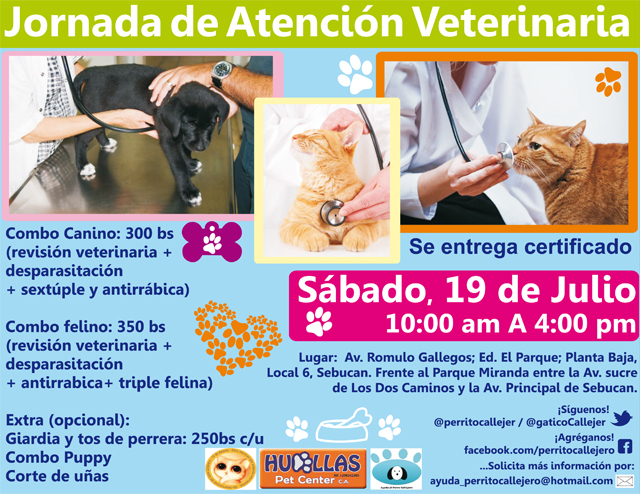 Jornada veterinaria a beneficio del refugio Asoama