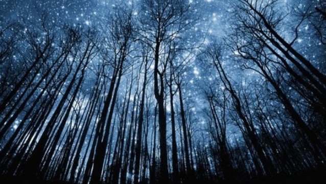 ¡Espectáculo celeste! Dos lluvias de estrellas se podrán ver a finales de julio