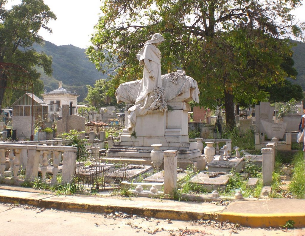 Hallaron tres cadáveres descompuestos en el sector La Peste del Cementerio del Sur