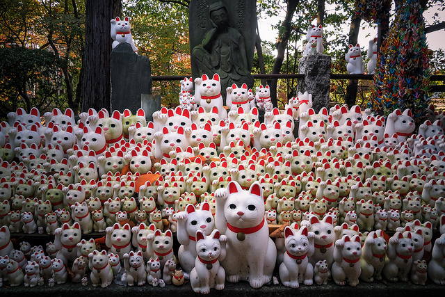 Los lugares que todo amante de los gatos debe visitar