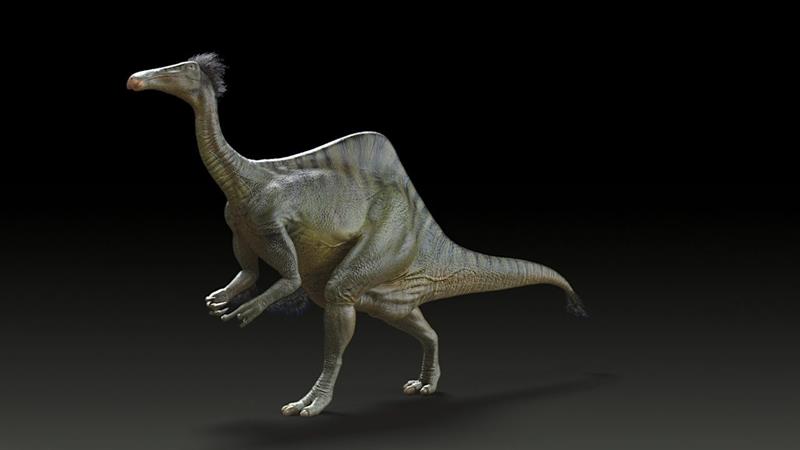 Nuevos fósiles revelan que el Deinocheirus era un dinosaurio-avestruz