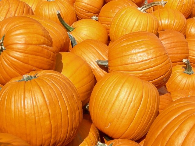 Conozca los seis beneficios de las calabazas para la salud