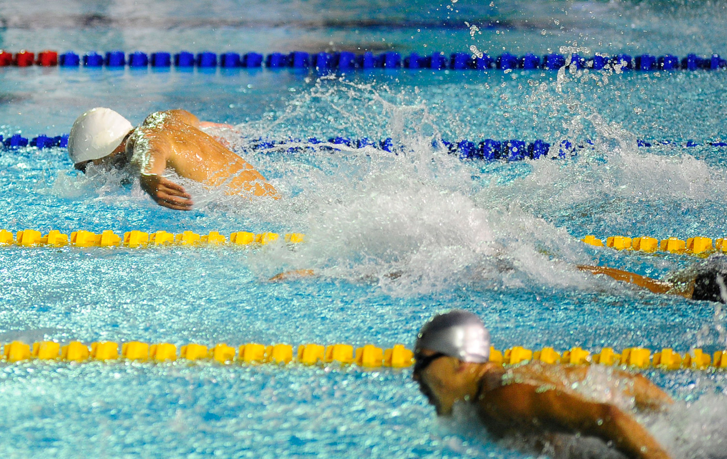 Natación venezolana logra primer lugar en los Juegos Veracruz 2014