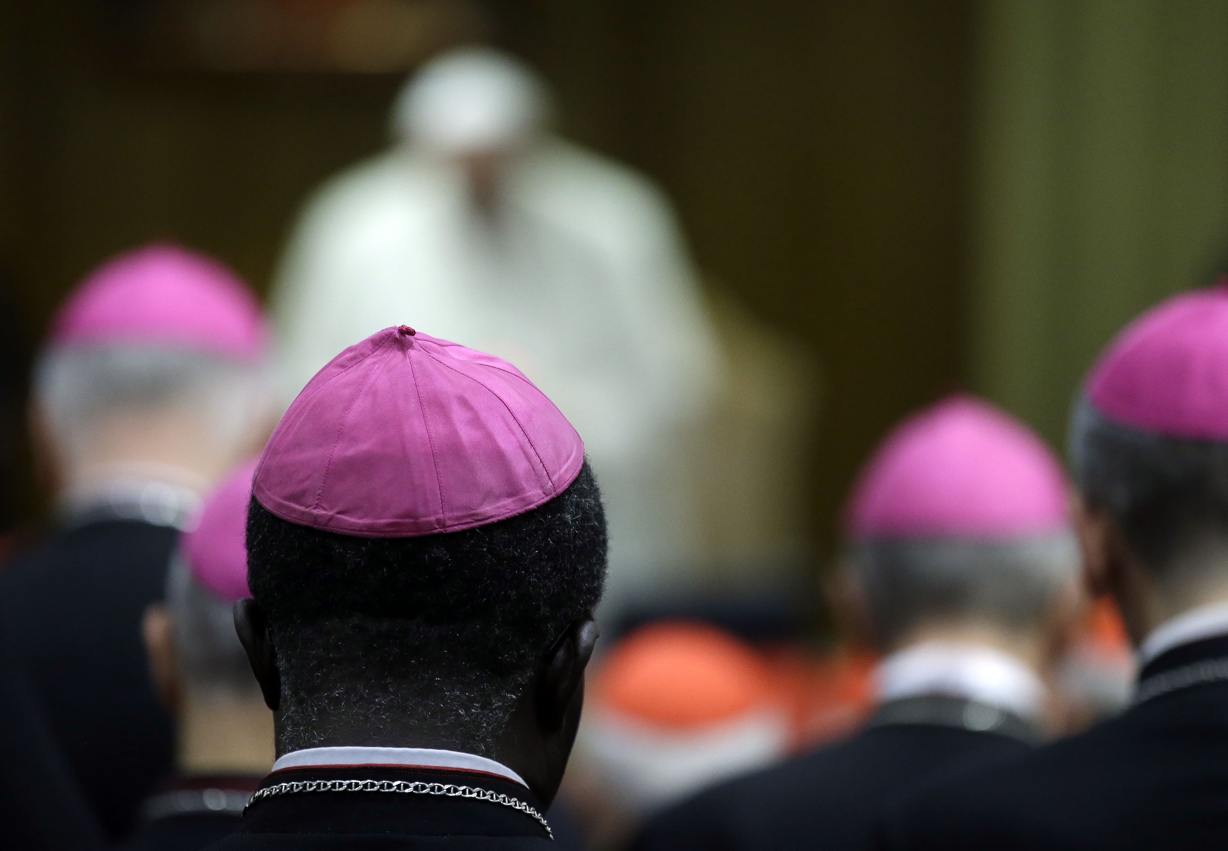 El Papa acepta la renuncia del  obispo de San Carlos, Tomás Zárraga