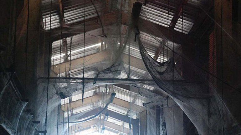 ¡Aterrador! La telaraña más grande del mundo (Fotos)
