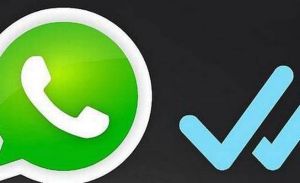Cómo desactivar el doble check azul de Whatsapp antes de que sea demasiado tarde