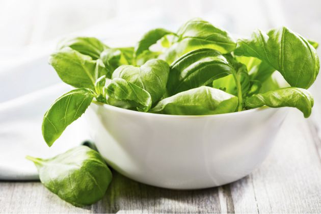 Conoce las 10 plantas medicinales comestibles que debes tener en tu hogar