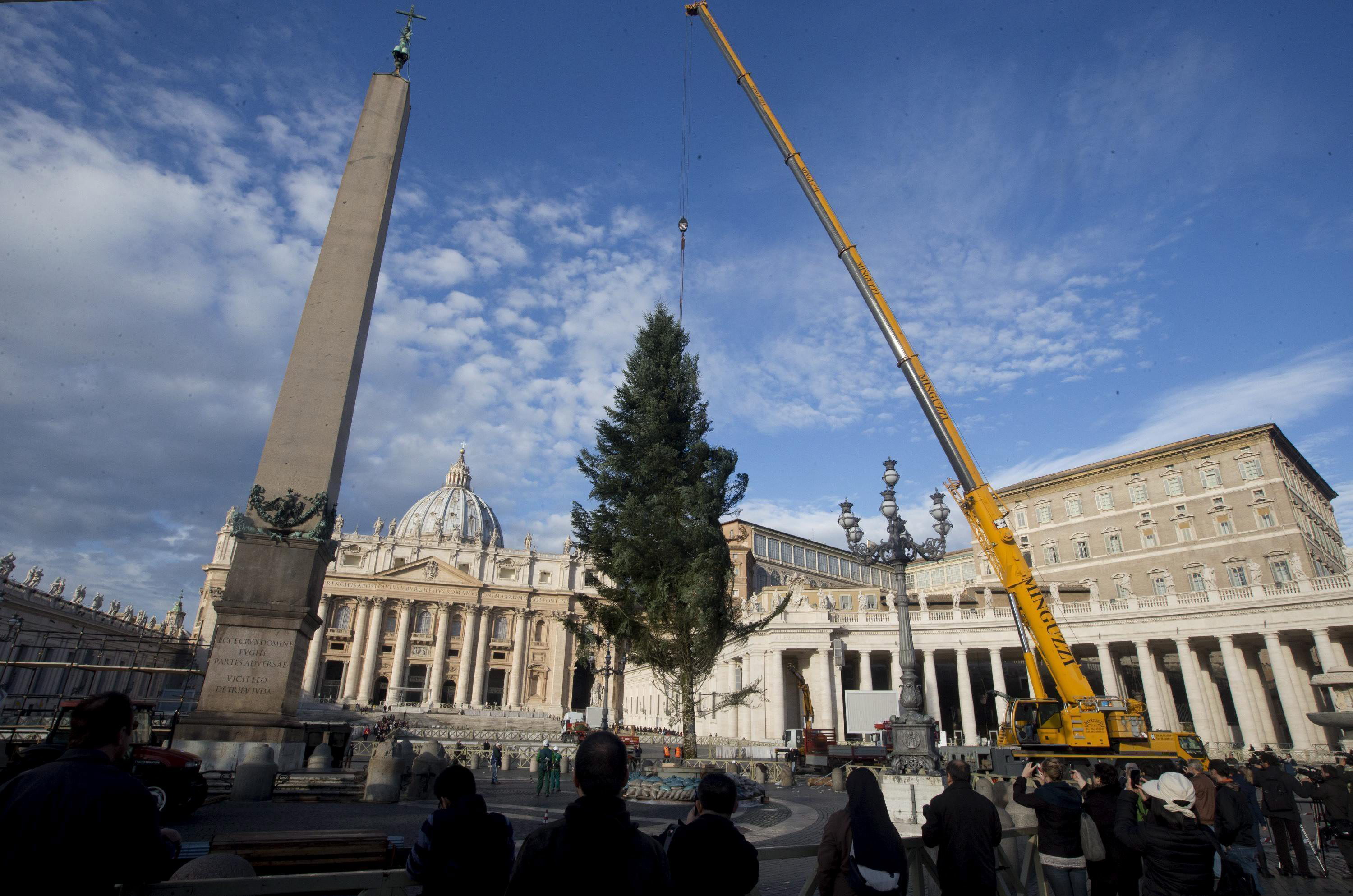 Colocaron un árbol de Navidad de 25 metros en la Plaza de San Pedro (Fotos)