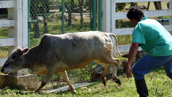 Las diez prohibiciones más absurdas de Cuba