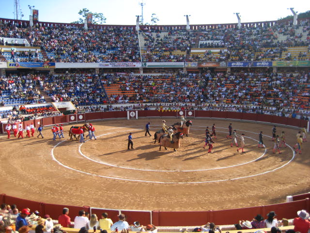 Defensoría del Pueblo prepara proyecto para prohibir las corridas de toros en el país