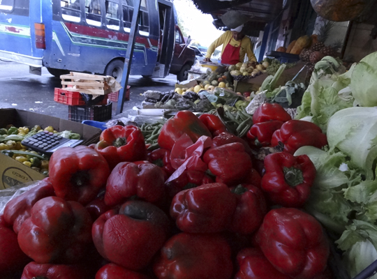 Incremento en fertilizantes aumenta el precio de las verduras