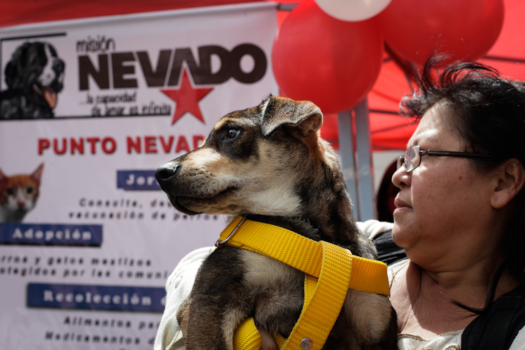 En Gaceta: Designan a integrantes del Consejo Directivo de la Fundación Misión Nevado