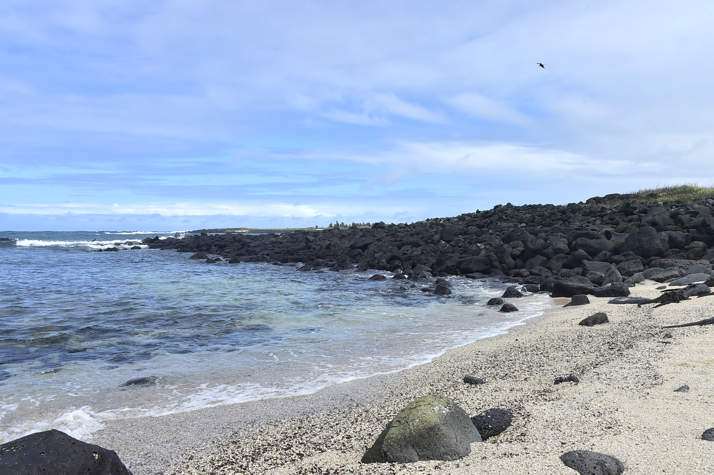 Sismo de magnitud 4,4 sacude la isla del archipiélago Galápagos en Ecuador