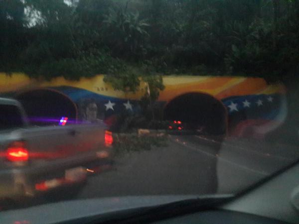 Paso cerrado en la ARC por árbol caído en el túnel Los Ocumitos