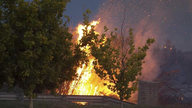 Ocho muertos y doce heridos en incendio en residencia de ancianos