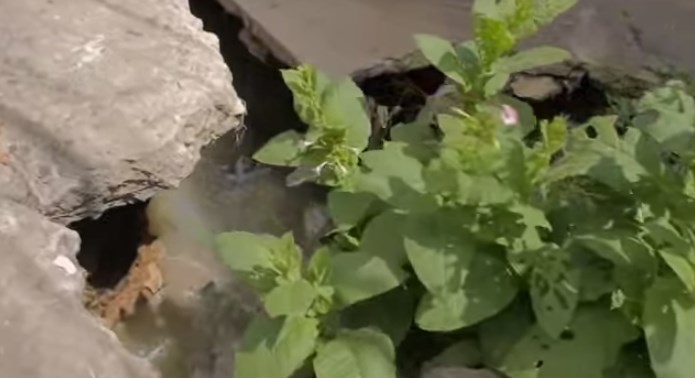 Más de 300 habitantes corren peligro en barrio La Unión por hundimiento de la vía principal (Video)