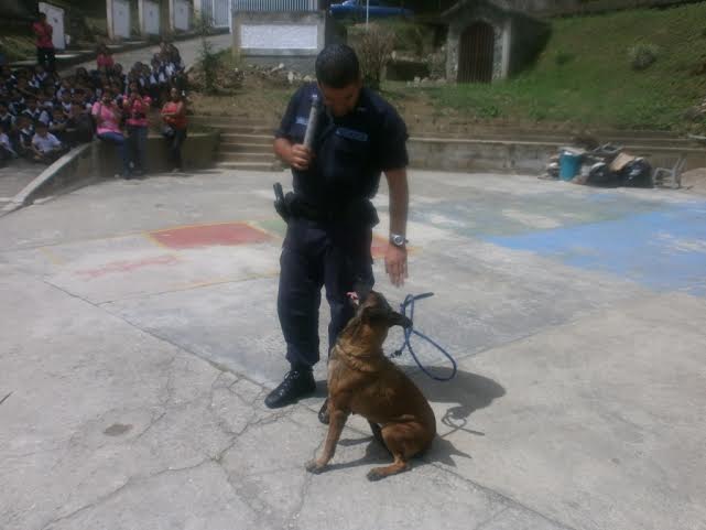 Los perros policías de Venezuela también sufren la escasez